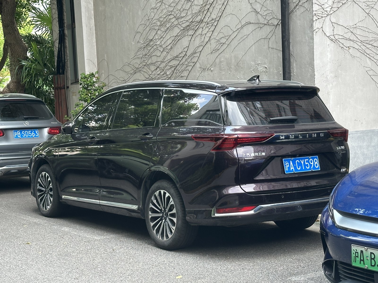Wuling Victory — SUV (HEV)